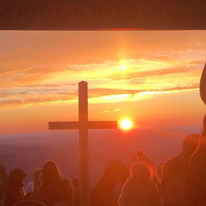 Meet your Posher, Allie